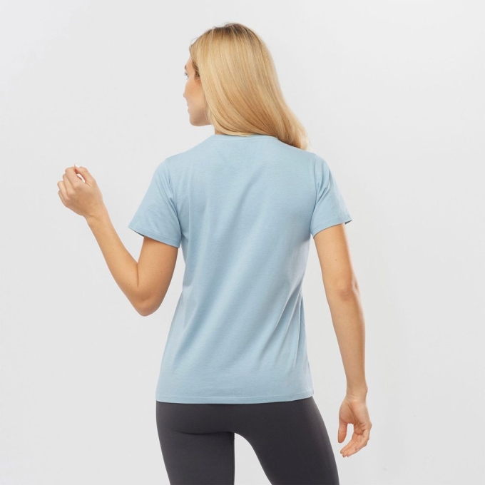 Ashley Blue Salomon OUTLIFE SMALL LOGO SS W Short Sleeve Women's T Shirts | AE-297UMIV