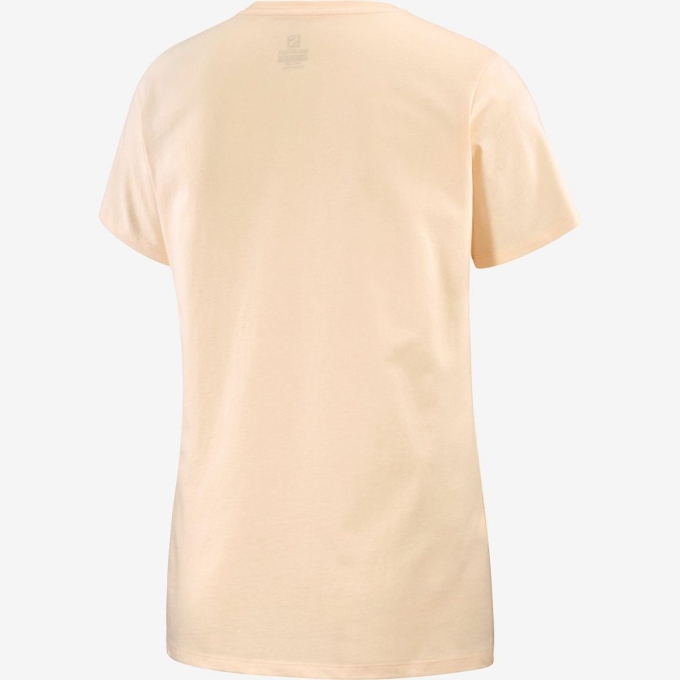 Beige Salomon OUTLIFE BIG LOGO Short Sleeve Women's T Shirts | AE-748BPIX