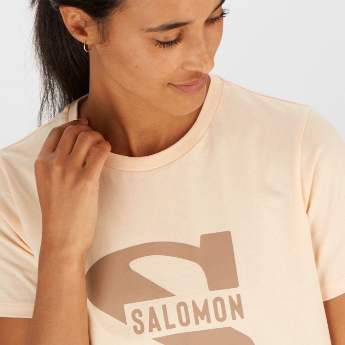 Beige Salomon OUTLIFE BIG LOGO Short Sleeve Women's T Shirts | AE-748BPIX