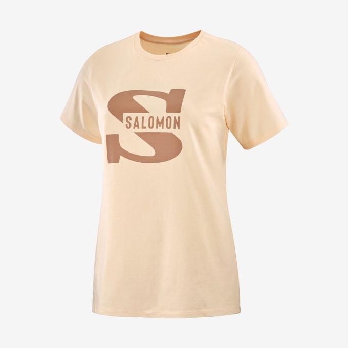 Beige Salomon OUTLIFE BIG LOGO Short Sleeve Women's T Shirts | AE-748BPIX