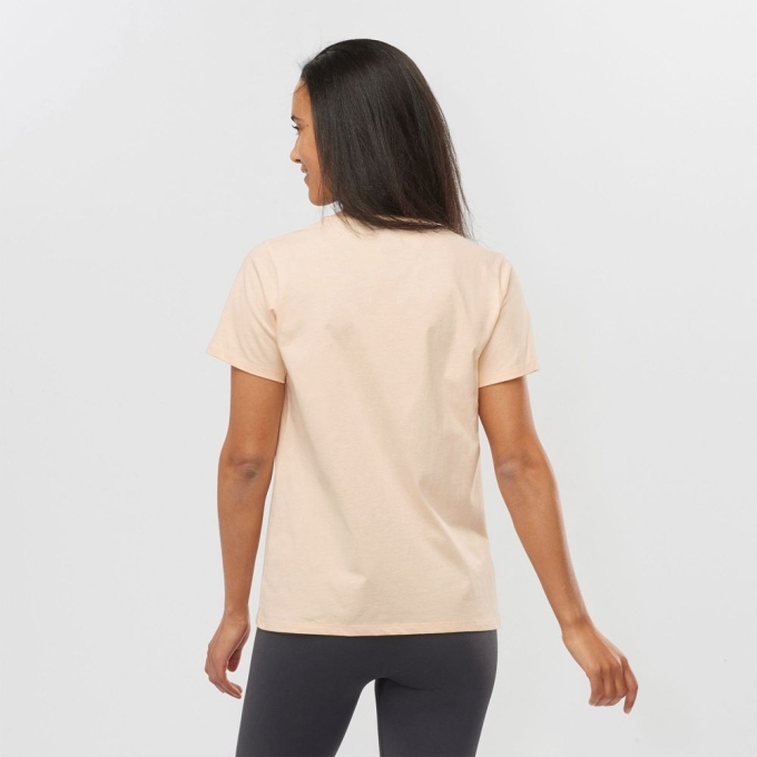 Beige Salomon OUTLIFE BIG LOGO Short Sleeve Women's T Shirts | AE-748BPIX