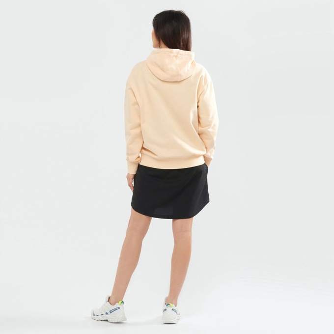 Beige Salomon OUTLIFE LOGO SUMMER Hooded Women's Pullover | AE-125GPUX