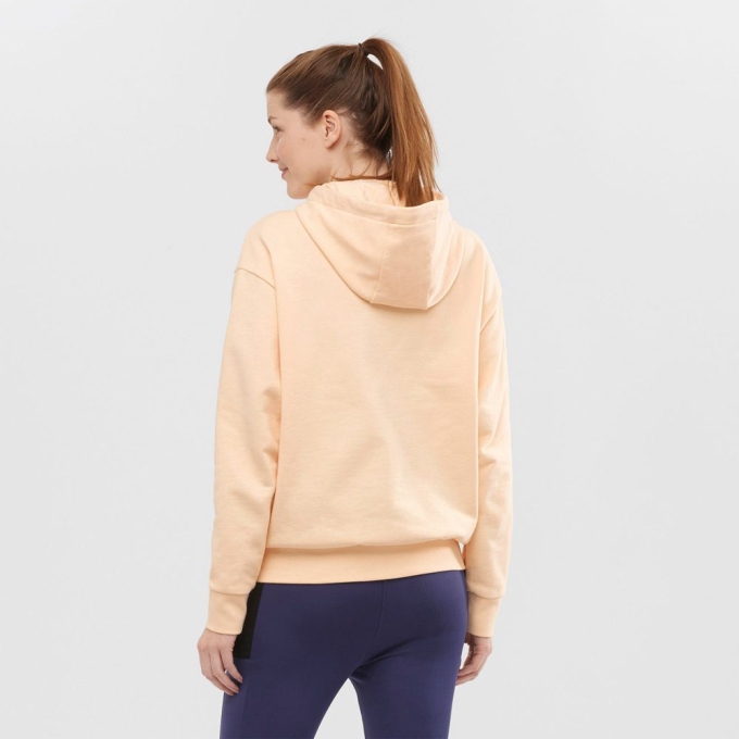 Beige Salomon OUTLIFE LOGO SUMMER Hooded Women's Pullover | AE-125GPUX