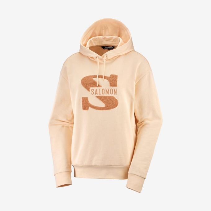 Beige Salomon OUTLIFE LOGO SUMMER Hooded Women's Pullover | AE-125GPUX