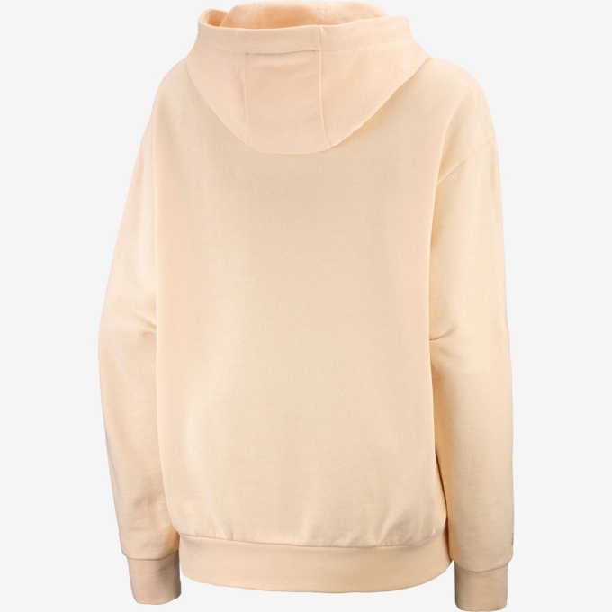 Beige Salomon OUTLIFE LOGO SUMMER Hooded Women's Pullover | AE-125GPUX