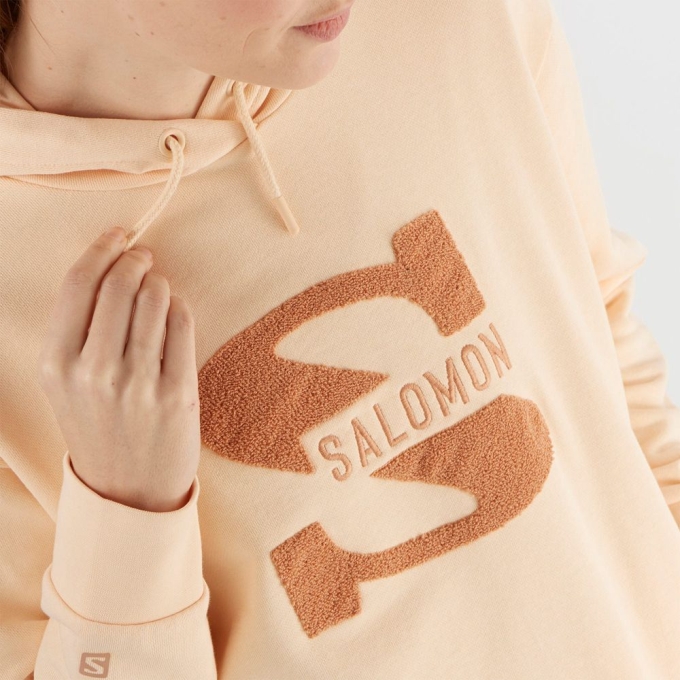 Beige Salomon OUTLIFE LOGO SUMMER Hooded Women's Pullover | AE-125GPUX