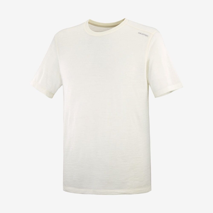 Beige Salomon OUTLIFE MERINO SS M Short Sleeve Men's T Shirts | AE-460VZRW