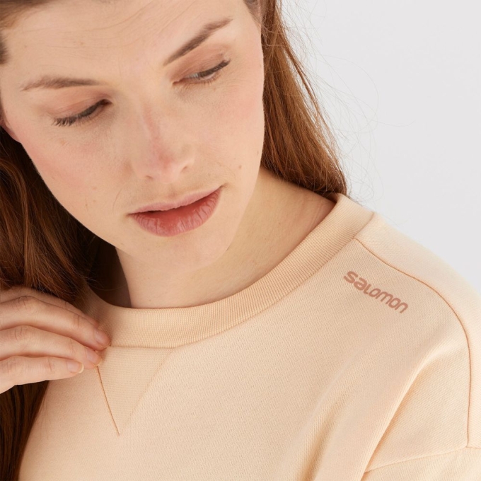 Beige Salomon OUTLIFE SUMMER Crewneck Women's Pullover | AE-382GPSR