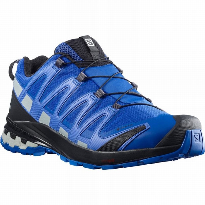 Black / Blue Salomon XA PRO 3D V8 GORE-TEX Men's Hiking Shoes | AE-192WMAZ