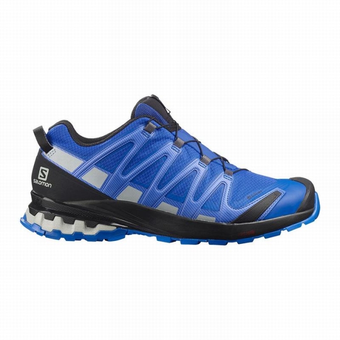 Black / Blue Salomon XA PRO 3D V8 GORE-TEX Men\'s Hiking Shoes | AE-192WMAZ