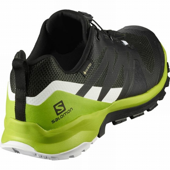 Black / Light Green Salomon XA ROGG GTX Men's Hiking Shoes | AE-981RODF