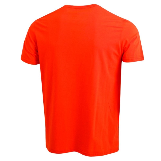 Black Salomon FINISH LINE SS M Men's T Shirts | AE-567GAHJ