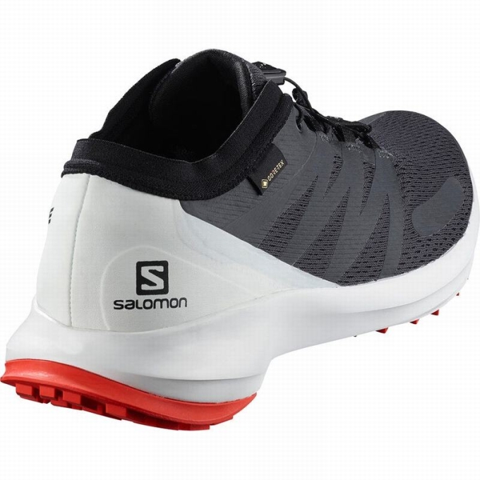 Black Salomon SENSE FLOW GTX Men's Trail Running Shoes | AE-295LIDO