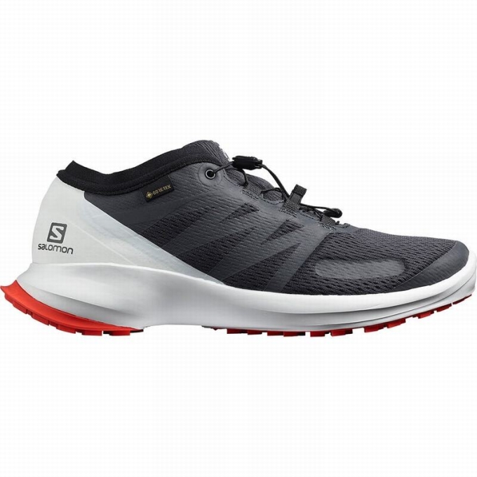 Black Salomon SENSE FLOW GTX Men's Trail Running Shoes | AE-295LIDO