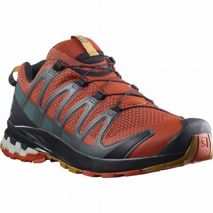 Black Salomon XA PRO 3D V8 Men's Hiking Shoes | AE-254XAGP