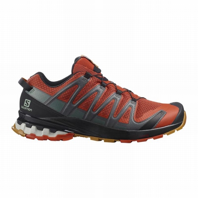 Black Salomon XA PRO 3D V8 Men\'s Hiking Shoes | AE-254XAGP