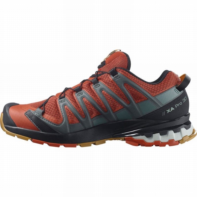 Black Salomon XA PRO 3D V8 Men's Trail Running Shoes | AE-431AZBS