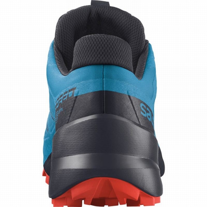 Blue / Black Salomon SPEEDCROSS 5 GORE-TEX Men's Trail Running Shoes | AE-265OPSD