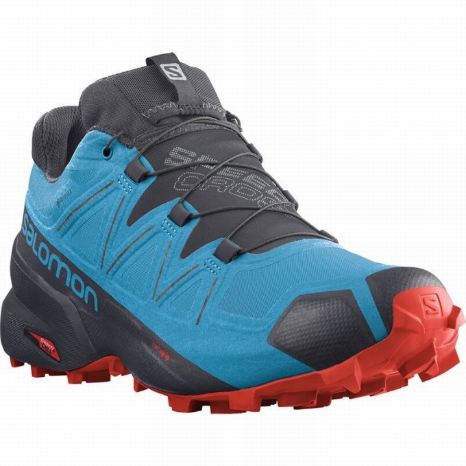 Blue / Black Salomon SPEEDCROSS 5 GORE-TEX Men's Trail Running Shoes | AE-265OPSD