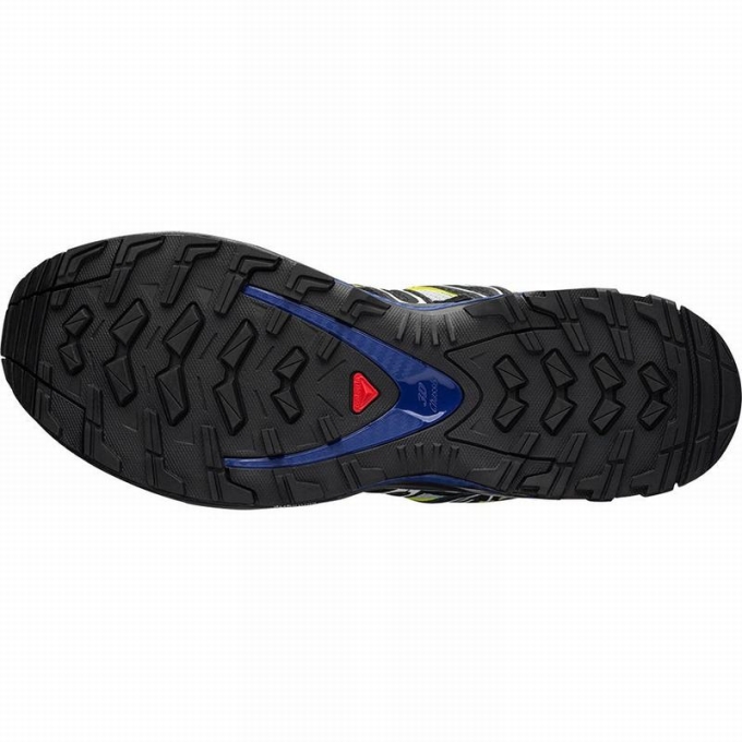 Blue / Black Salomon XA PRO 3D Men's Trail Running Shoes | AE-254DPLM