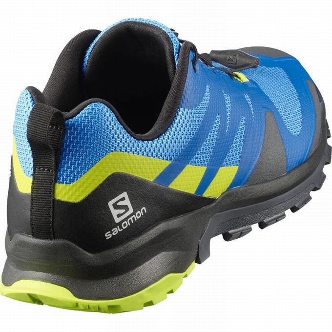 Blue / Black Salomon XA ROGG Men's Trail Running Shoes | AE-514UVSQ