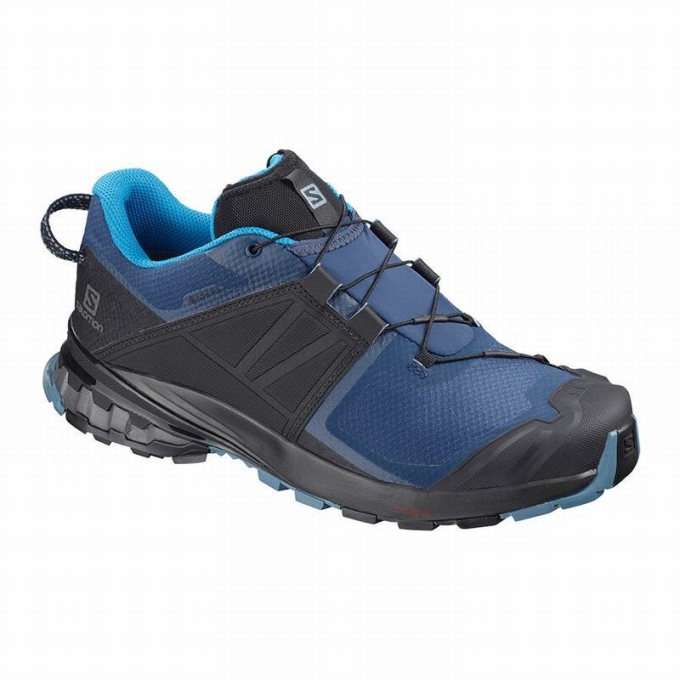 Blue / Black Salomon XA WILD GORE-TEX Men\'s Trail Running Shoes | AE-740SWHY