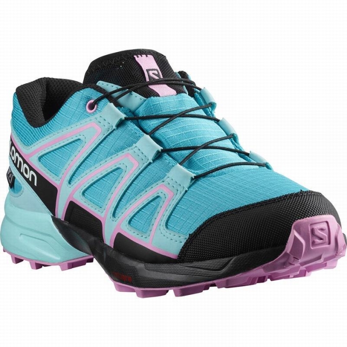 Blue / Brown Turquoise Salomon SPEEDCROSS CLIMASALOMON WATERPROOF Kids' Trail Running Shoes | AE-490SZDR