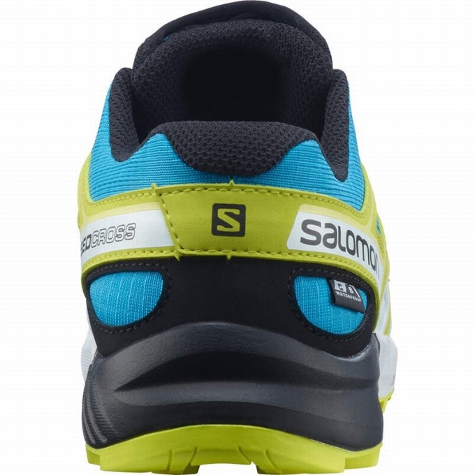 Blue / Green Salomon SPEEDCROSS CLIMASALOMON WATERPROOF Kids' Trail Running Shoes | AE-560UQAY