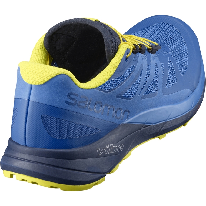 Blue / Navy Salomon SENSE RIDE Men's Trail Running Shoes | AE-280GOVW