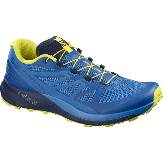 Blue / Navy Salomon SENSE RIDE Men\'s Trail Running Shoes | AE-280GOVW