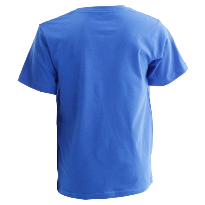 Blue Salomon ACHIEVE SS B Kids' T Shirts | AE-486AKXZ