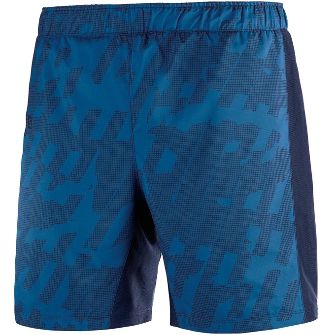 Blue Salomon AGILE 2IN 1 M Men\'s Shorts | AE-932UOJI