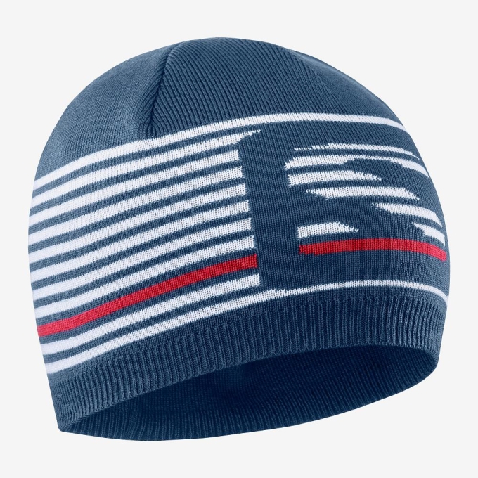 Blue Salomon FLATSPIN Men's Beanie | AE-604XREL