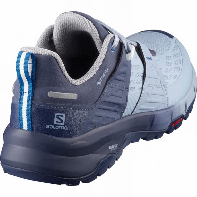 Blue Salomon ODYSSEY GTX W Women's Hiking Shoes | AE-546QAIE