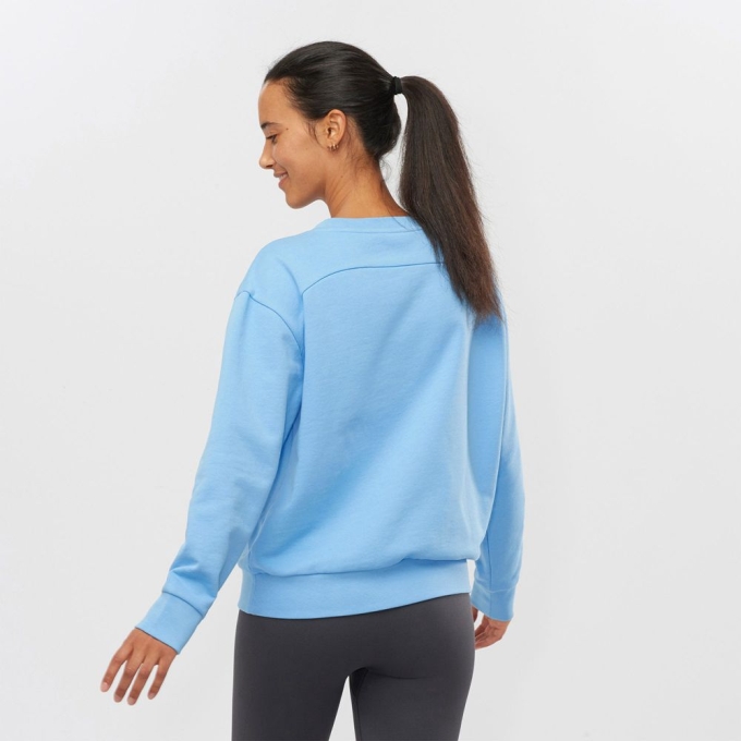 Blue Salomon OUTLIFE SUMMER Crewneck Women's Pullover | AE-815AHUW