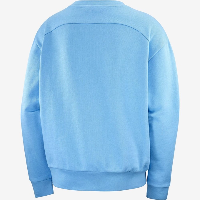 Blue Salomon OUTLIFE SUMMER Crewneck Women's Pullover | AE-815AHUW