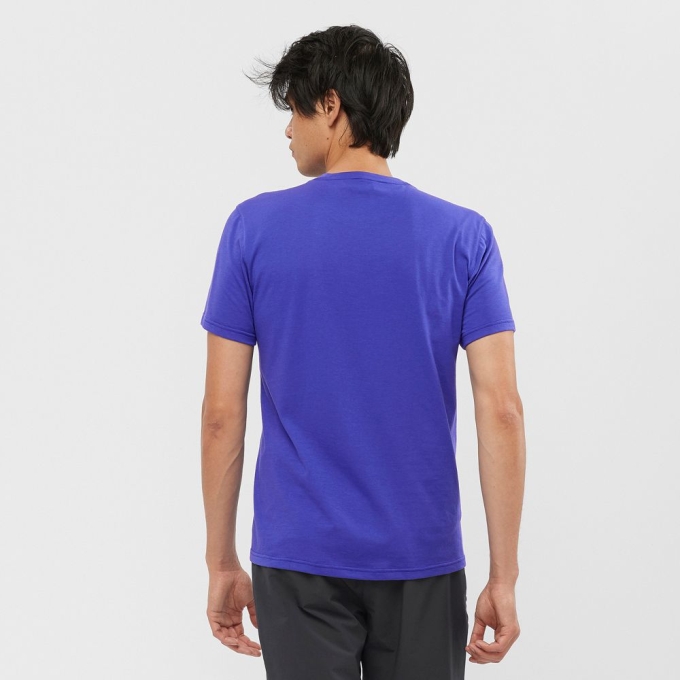 Blue Salomon OUTRACK BLEND Short Sleeve Men's T Shirts | AE-374FBLW