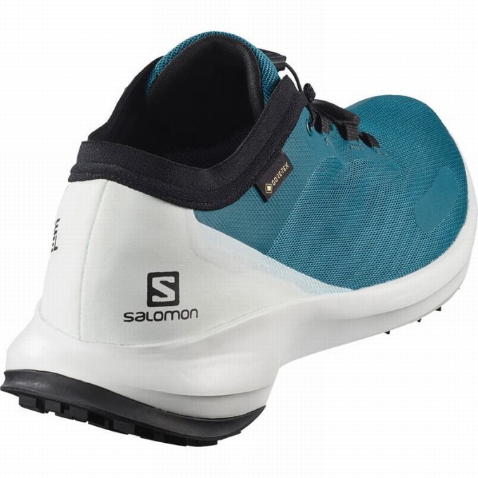 Blue Salomon SENSE FEEL GTX Men's Trail Running Shoes | AE-127GPNW