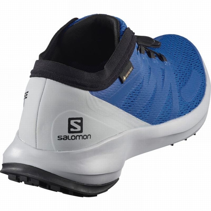 Blue Salomon SENSE FLOW GTX Men's Trail Running Shoes | AE-651FRBS