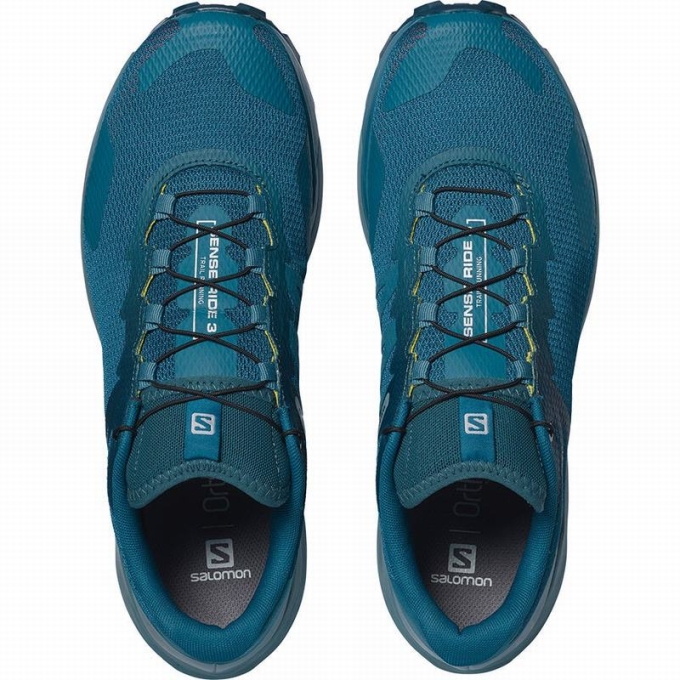 Blue Salomon SENSE RIDE 3 Men's Running Shoes | AE-256OKFZ