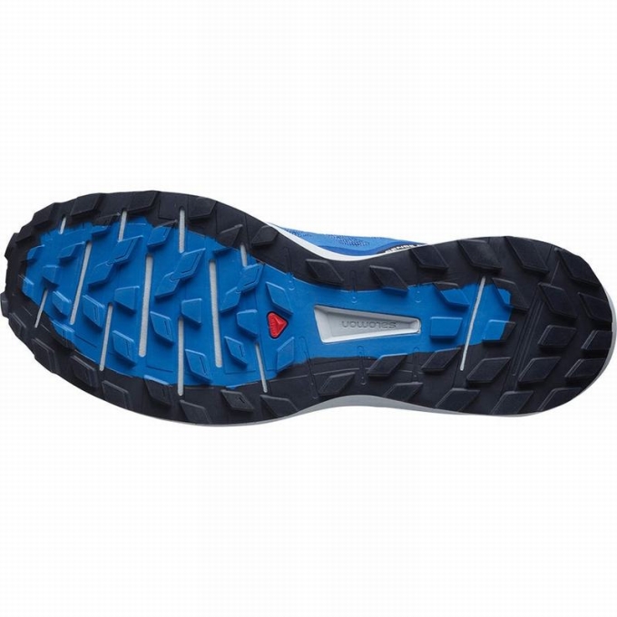 Blue Salomon SENSE RIDE 4 Men's Running Shoes | AE-180ZMYV