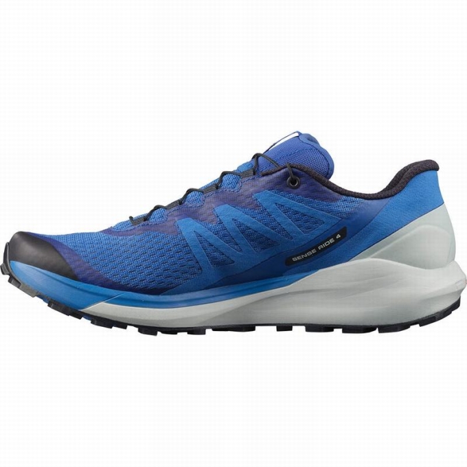 Blue Salomon SENSE RIDE 4 Men's Running Shoes | AE-180ZMYV