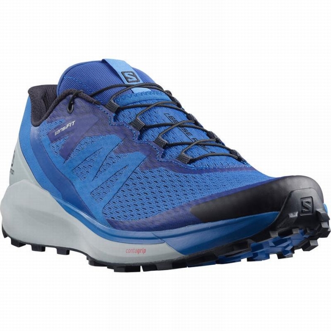 Blue Salomon SENSE RIDE 4 Men's Running Shoes | AE-180ZMYV