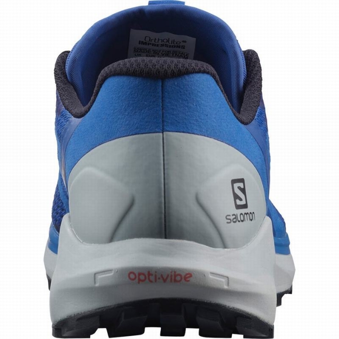 Blue Salomon SENSE RIDE 4 Men's Trail Running Shoes | AE-580XMVF