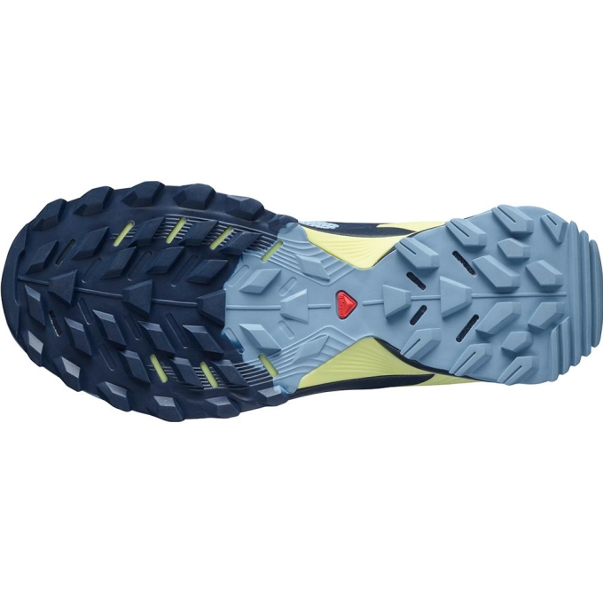 Blue Salomon WINGS SKY W Women's Running Shoes | AE-539HKGN