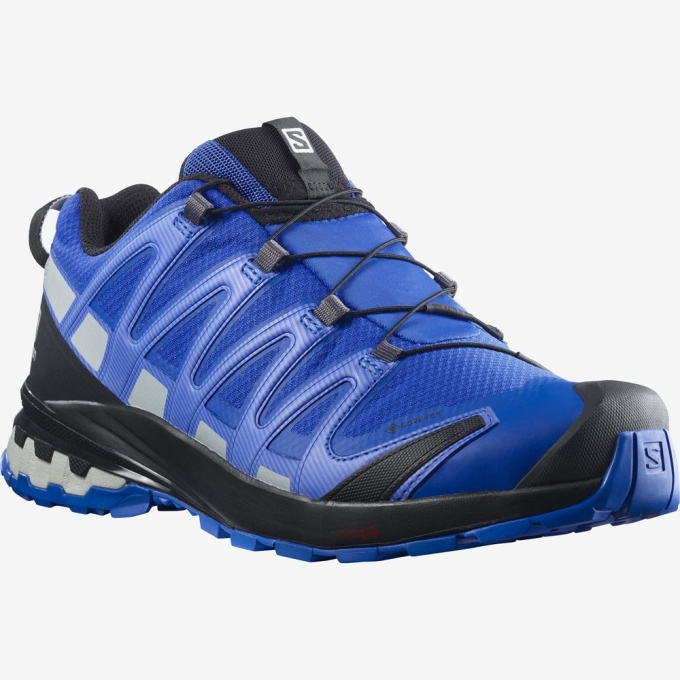 Blue Salomon XA PRO 3D V8 GORE-TEX Men's Trail Running Shoes | AE-271BOAR