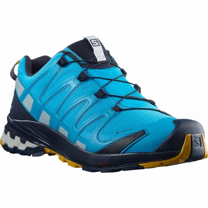 Blue Salomon XA PRO 3D V8 GORE-TEX Men's Trail Running Shoes | AE-407DYUQ