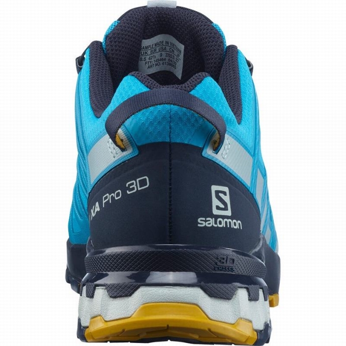 Blue Salomon XA PRO 3D V8 GORE-TEX Men's Trail Running Shoes | AE-407DYUQ