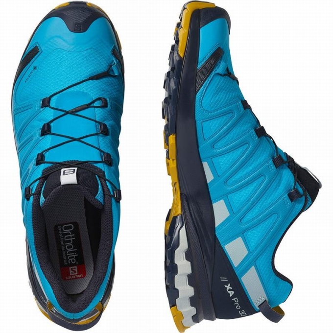 Blue Salomon XA PRO 3D V8 GORE-TEX Men's Trail Running Shoes | AE-407DYUQ