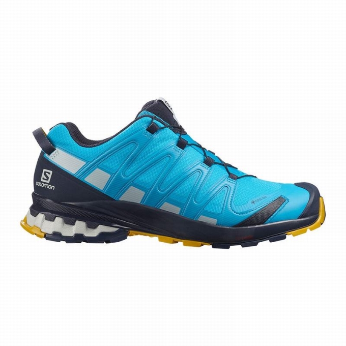 Blue Salomon XA PRO 3D V8 GORE-TEX Men\'s Trail Running Shoes | AE-407DYUQ